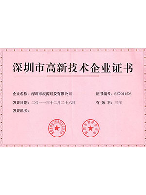 伊人在线视频-深圳市高新（xīn）技術企業證書