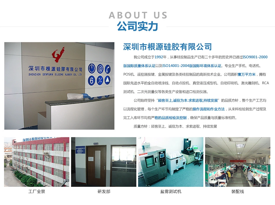 伊人在线视频公司（sī）简介